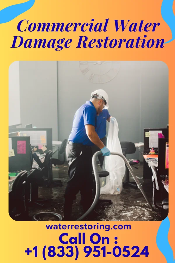 Commercial Water Damage Restoration in Madison, MN