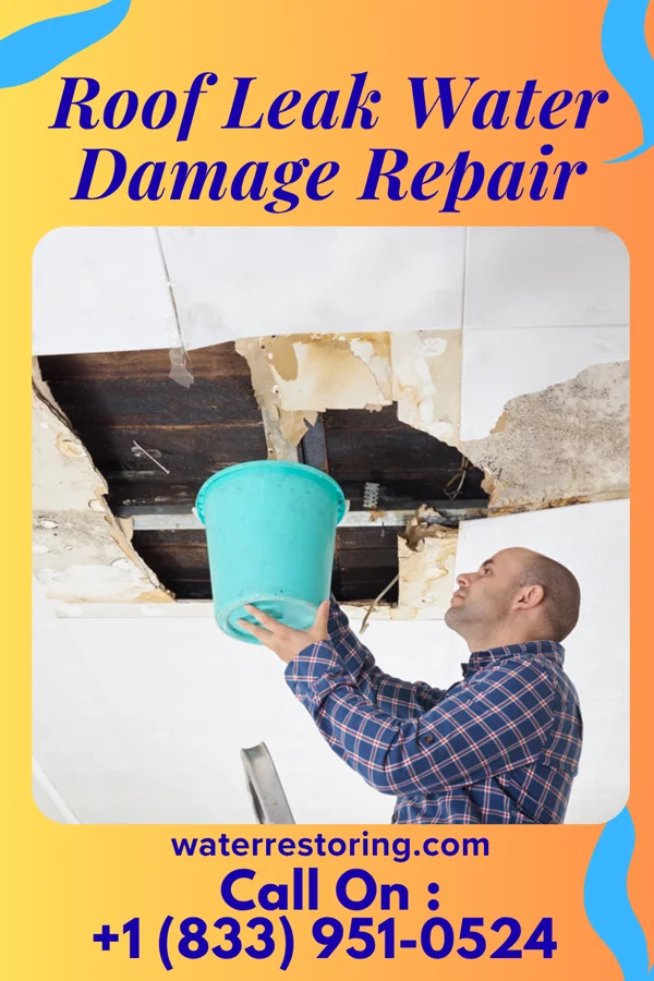 Roof Leak Water Damage Repair in Madison, MN